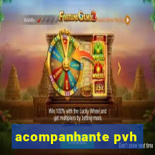 acompanhante pvh